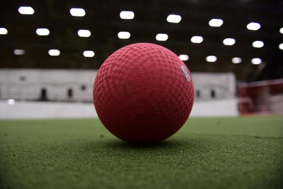 Photograph of a red dodgeball