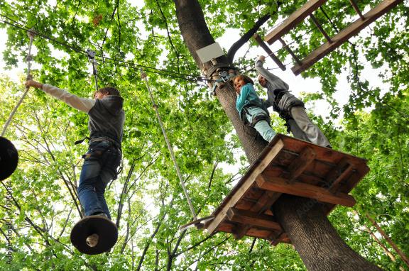 Children in the high ropes